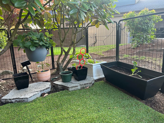 How to Create a Small Garden in an Apartment