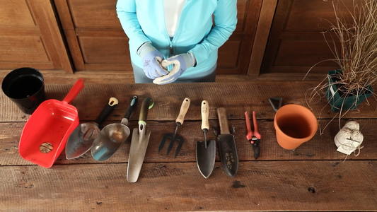 Best Tools for Container Gardening