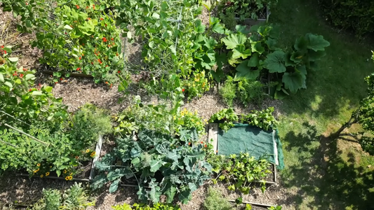 Seasonal Planting Guide