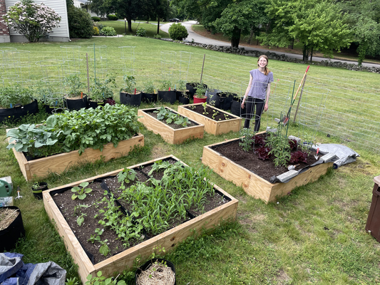 How to Start an Organic Garden