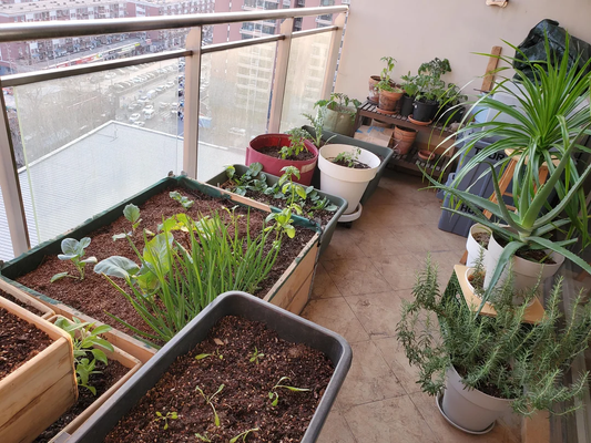 Balcony Garden Design Tips