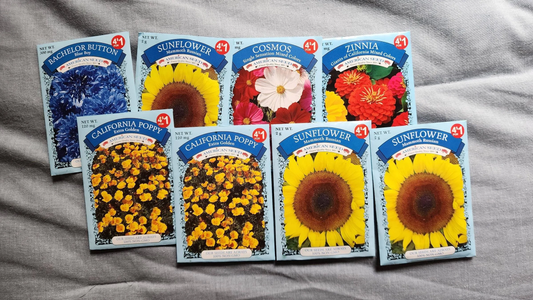 Buy Bulk Seeds for Gardening
