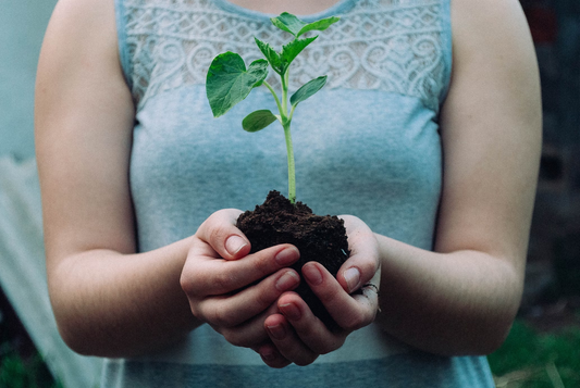 how to propagate plants