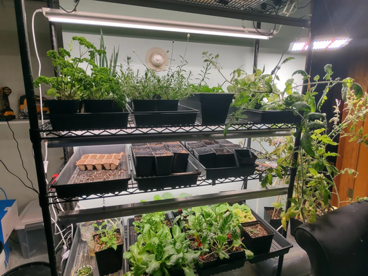 Indoor Herb Garden Planning