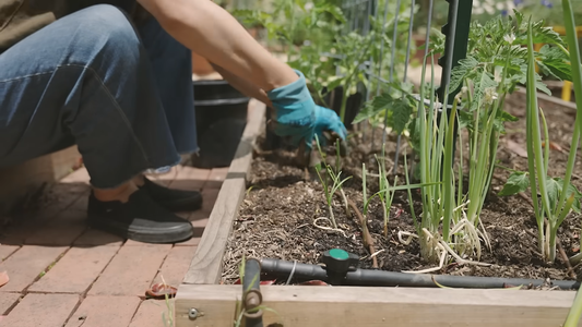 DIY Garden Ideas for Small Spaces