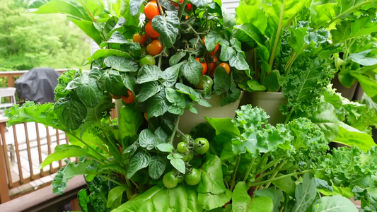 How to Build a Vertical Garden