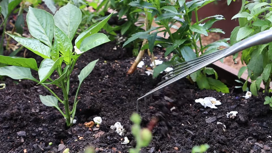 Best Gardening Tools for Beginners