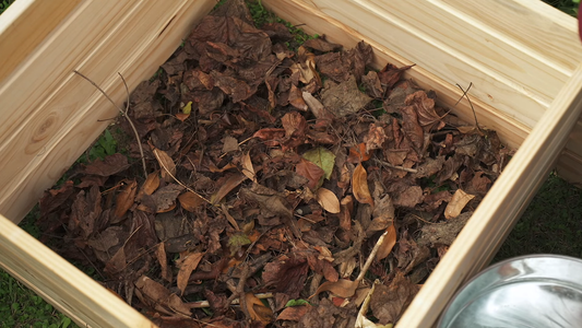 How to Start a Compost Bin
