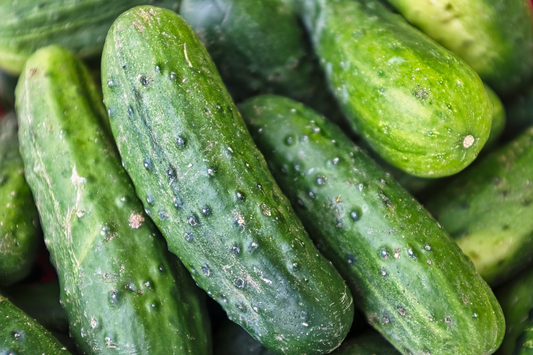 How to grow cucumbers