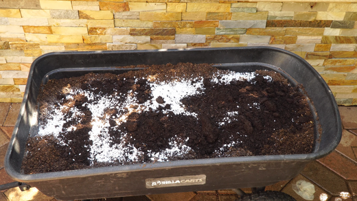 How to Choose Soil for Potted Plants