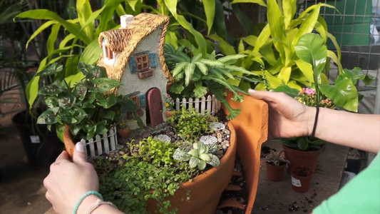 How to Grow a Fairy Garden