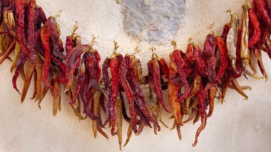 Best Practices for Seed Saving