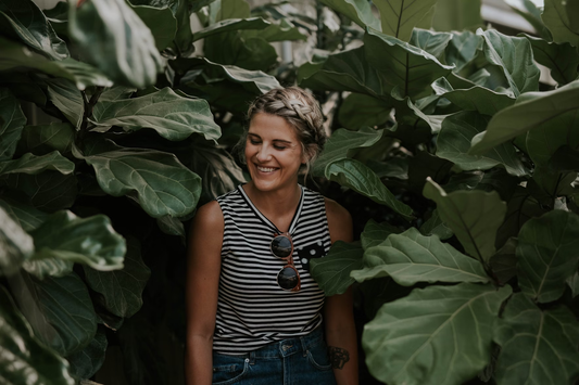 houseplants that purify air