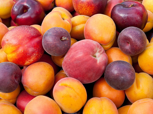 Best Fruits for Backyard Orchards