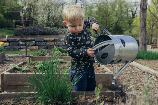 garden tools for beginners
