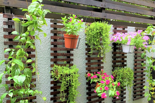 tips for vertical gardening
