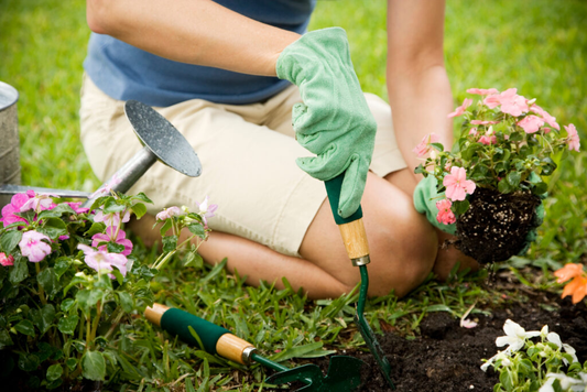 Outdoor Gardening Tips for Beginners