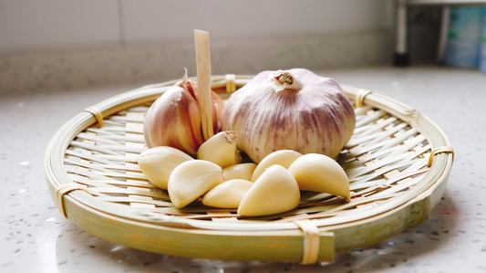 How to plant garlic in the fall