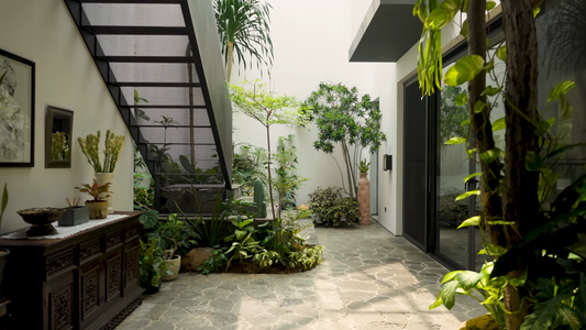 Unique Plants for Indoor Decor
