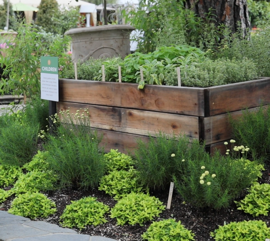 How to Create a Sensory Garden
