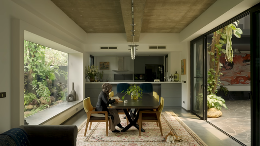 How to Select the Right Plant for Your Space