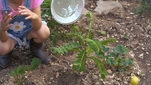 Gardening for Kids