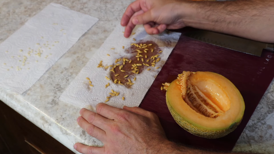 Organic Seeds for Home Gardening