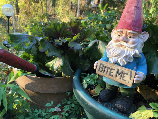 Gardening Gifts for Plant Lovers