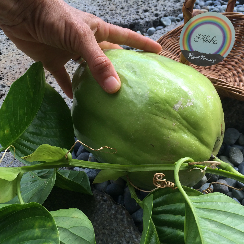 Giant Granadilla Passionflower - Edible Passion Fruit - 2 Plants For 1 SPECIAL!