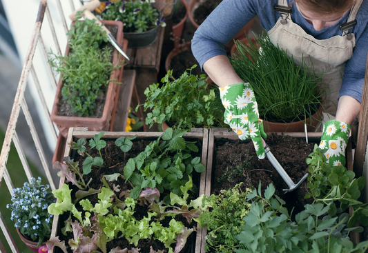 Gardening Gloves for Beginners