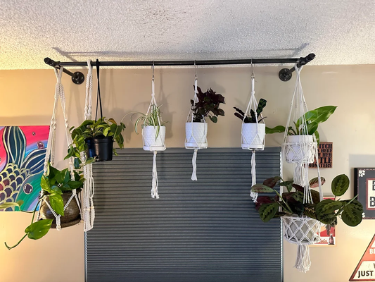 Buy Hanging Baskets for Indoor Plants