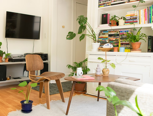 Indoor Gardening Tips for Apartment Dwellers
