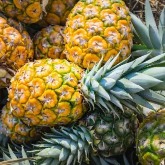 Elite Gold Pineapple