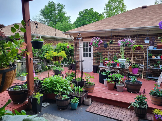 Gardening in Small Spaces