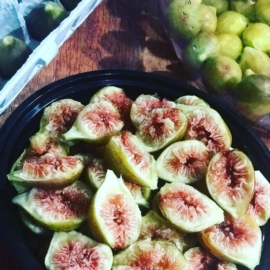 Brown Turkey Fig Tree Care