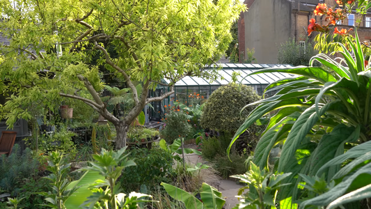 Eco-friendly Gardening Practices