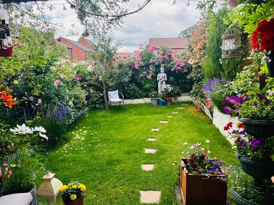 Gardening Challenges for Beginners