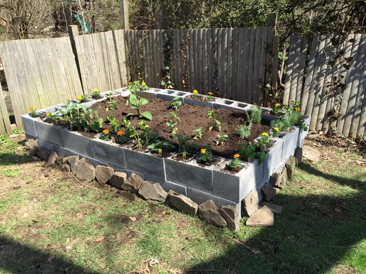Gardening for Beginners