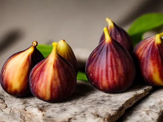 Fig Tree Pollination Guide