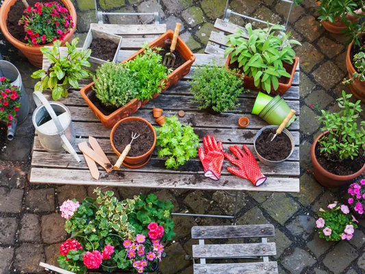 Gardening Accessories for Beginners
