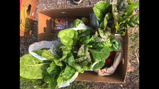 Benefits of Community Gardening