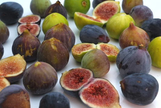 Differences Between Fig Varieties