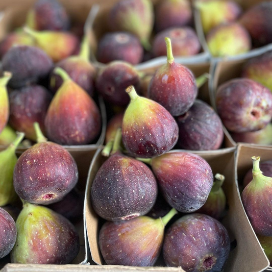 Soil Requirements for Brown Turkey Fig Trees