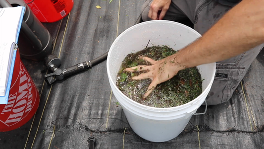 How to Make Homemade Plant Fertilizers