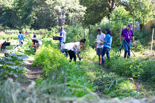 Gardening Communities Online