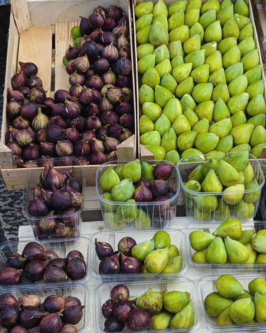 Pruning Techniques for Brown Turkey Fig Trees