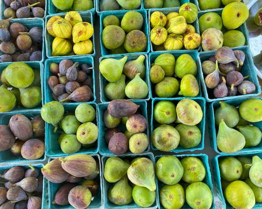 Best Varieties of Figs for Home Gardens