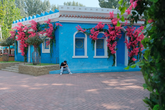 Gardening with Sound: How Music and Noise Affect Plant Growth in Urban Spaces