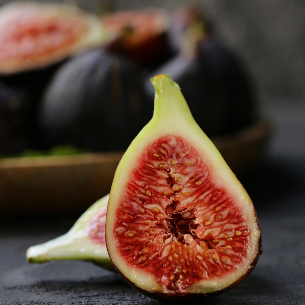Fig Tree Edible Live Plants 6 Violette de Bordeaux! Cold-Hardy-Dwarf